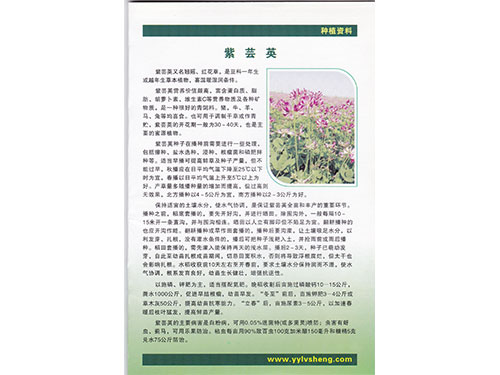 紫芸英种植资料